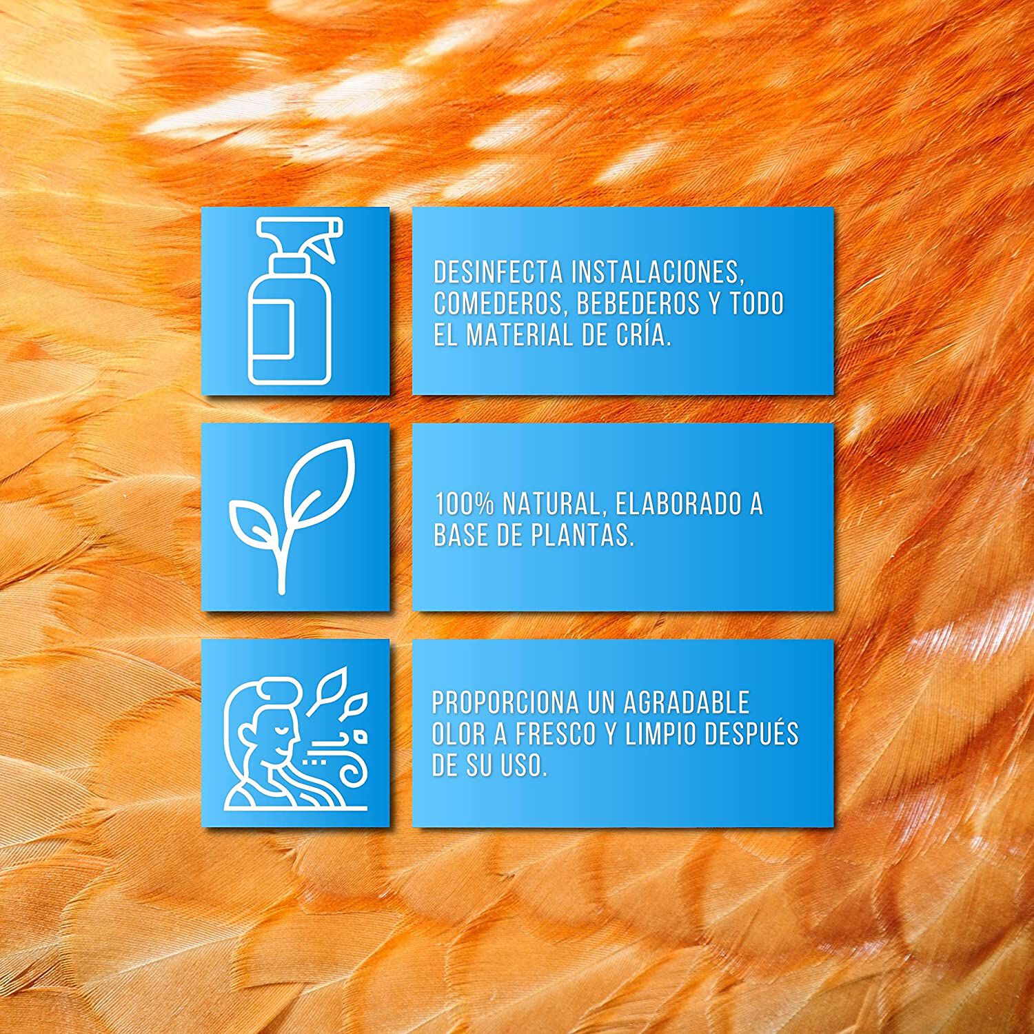 Finca casarejo soluclean spray natural desinfecta instalaciones para instalaciones de animales, , large Imagen numero 2